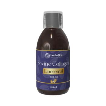 Liposzómás marhakollagén - 200 ml - Herbatica