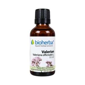 Macskagyökércseppek az idegrendszer támogatására – tinktúra – 50 ml – Bioherba kép