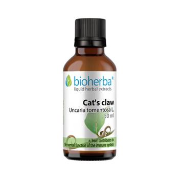 Macskakarom (Uncaria tomentosa) cseppek – tinktúra – 50 ml – Bioherba kép