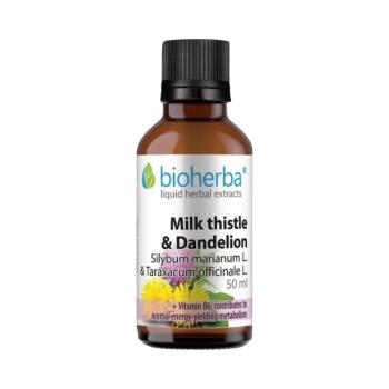 Máriatövis és gyermekláncfű cseppek – tinktúra – 50 ml – Bioherba kép