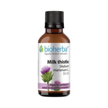 Máriatövis (Silybum marianum) cseppek – tinktúra – 50 ml – Bioherba