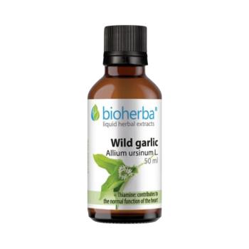 Medvehagyma cseppek – tinktúra – 50 ml – Bioherba kép