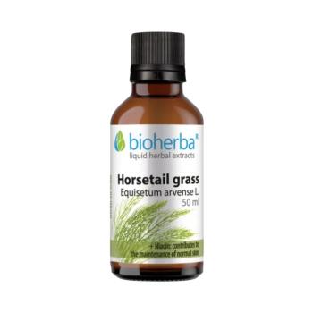 Mezei zsurló (Horsetail) cseppek – tinktúra – 50 ml – Bioherba kép