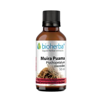 Muira Puama (Ptychopetalum olacoides) cseppek – tinktúra – 50 ml – Bioherba kép
