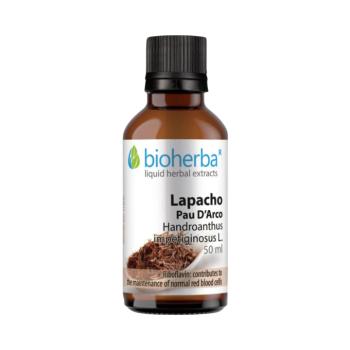 Pau D’Arco (Lapacho) cseppek – tinktúra – 50 ml – Bioherba kép