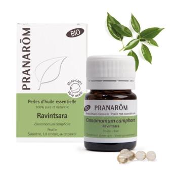 Pranarom Ravintsara "gyöngy" - illóolaj tartalmú mini kapszula bio 60 db kép