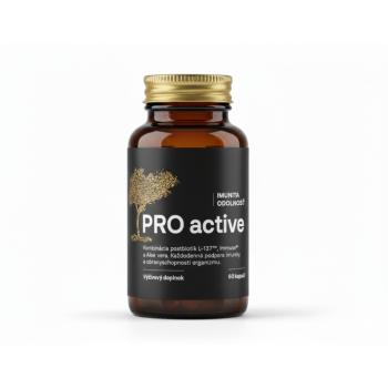 PRO active kép