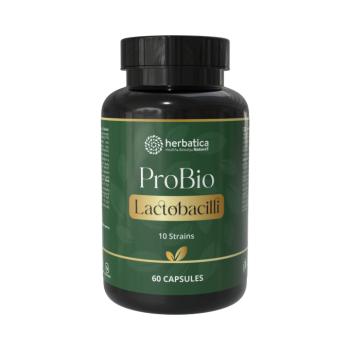 ProBio Laktobacily 10 – 60 kapszula – Herbatica