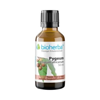 Pygeum (afrikai szilva) tinktúra cseppek – 50 ml – Bioherba