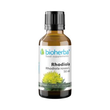 Rhodiola cseppek – tinktúra – 50 ml – Bioherba kép