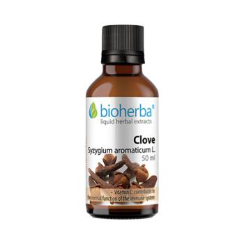 Szegfűszeg tinktúra cseppek – 50 ml – Bioherba kép