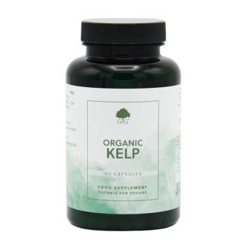 Tengeri hínár 500mg 120 kapszula – G&G kép