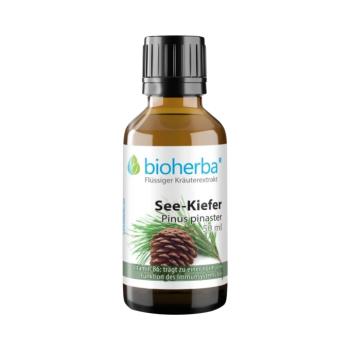Tengerparti fenyő tinktúra cseppek – 50 ml – Bioherba kép