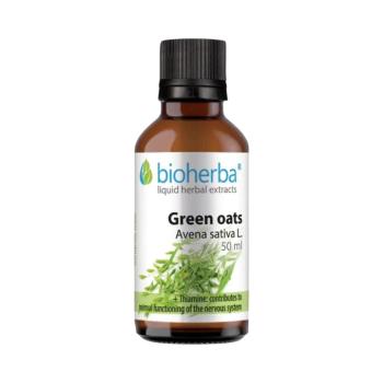 Vetett zab (Avena sativa) cseppek – tinktúra – 50 ml – Bioherba kép
