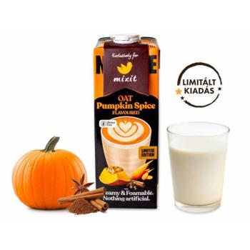 Zabital Barista - Pumpkin Spice kép
