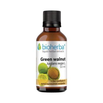 Zöld dió (Juglans regia) cseppek – tinktúra – 50 ml – Bioherba kép