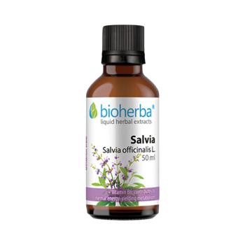 Zsálya tinktúra cseppek – 50 ml – Bioherba
